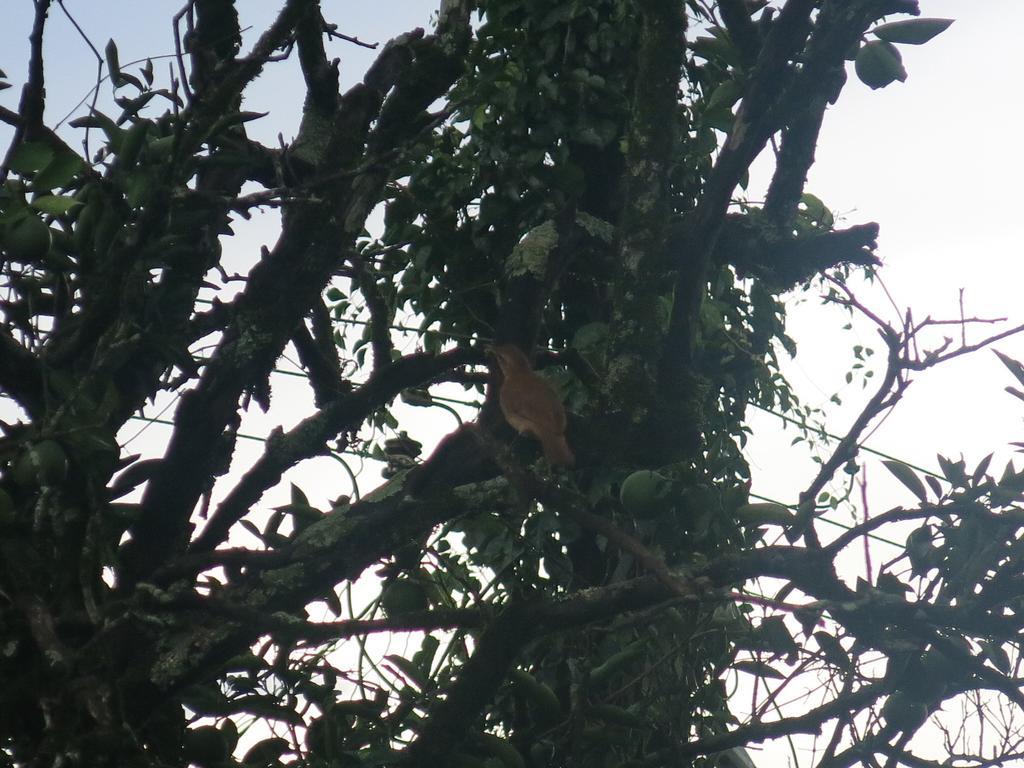 Hostel Y Posada Colibri Puerto Iguazu Luaran gambar
