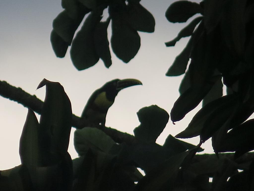 Hostel Y Posada Colibri Puerto Iguazu Luaran gambar